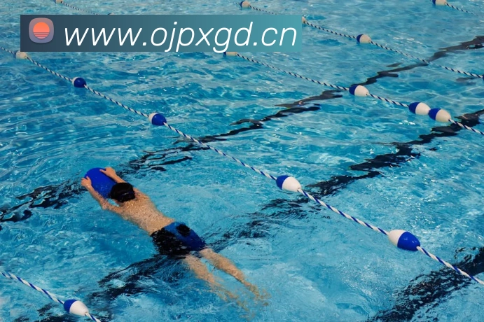 开运体育app官网入口下载官网服务体系